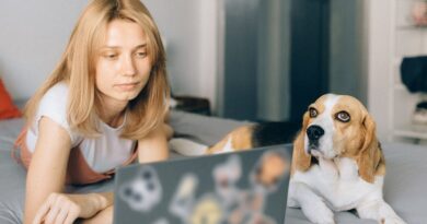 Stay Compliant: Email Best Practices Explained